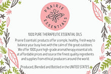 Pumpkin Spice Essential Oil Blend, 15ml