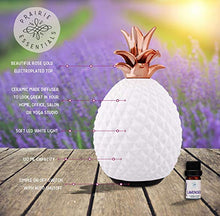 Ceramic Pineapple Essential Oils Diffuser, 120ml, with 5ml Bottle of Lavender