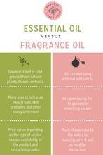 Pumpkin Spice Essential Oil Blend, 15ml